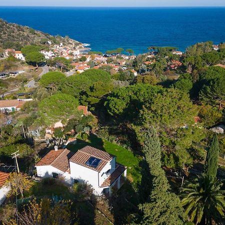 Villa Caterina Quiete E Mare-Goelba SantʼAndrea Exterior foto